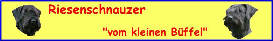 Bannerversuchgelb102